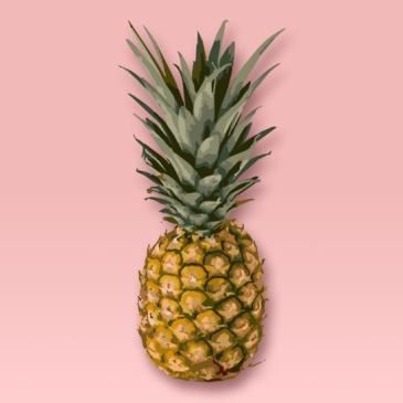 pineapple-7bz-prints